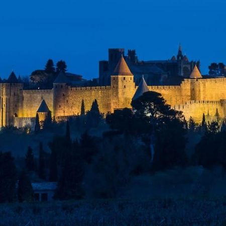 Le Panoramique - Sublime Vue Sur La Cite Apartment Carcassonne Ngoại thất bức ảnh