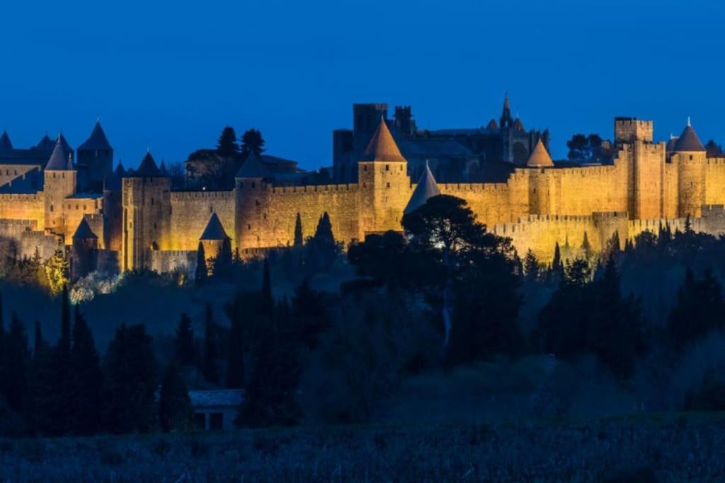 Le Panoramique - Sublime Vue Sur La Cite Apartment Carcassonne Ngoại thất bức ảnh